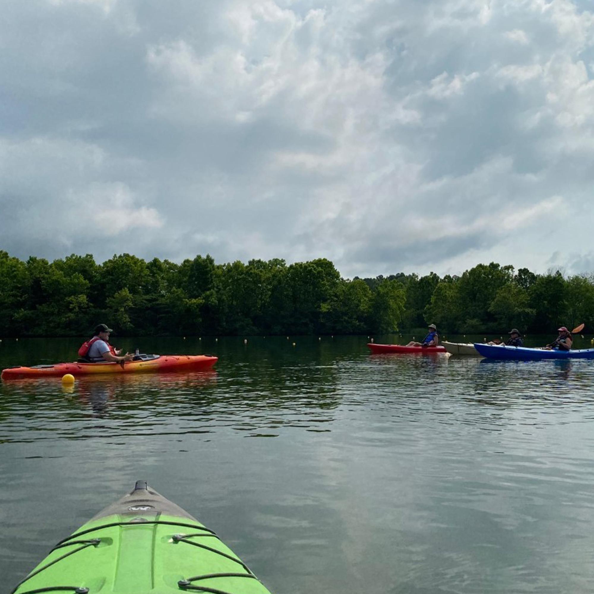 Several kayakers on a calm river.