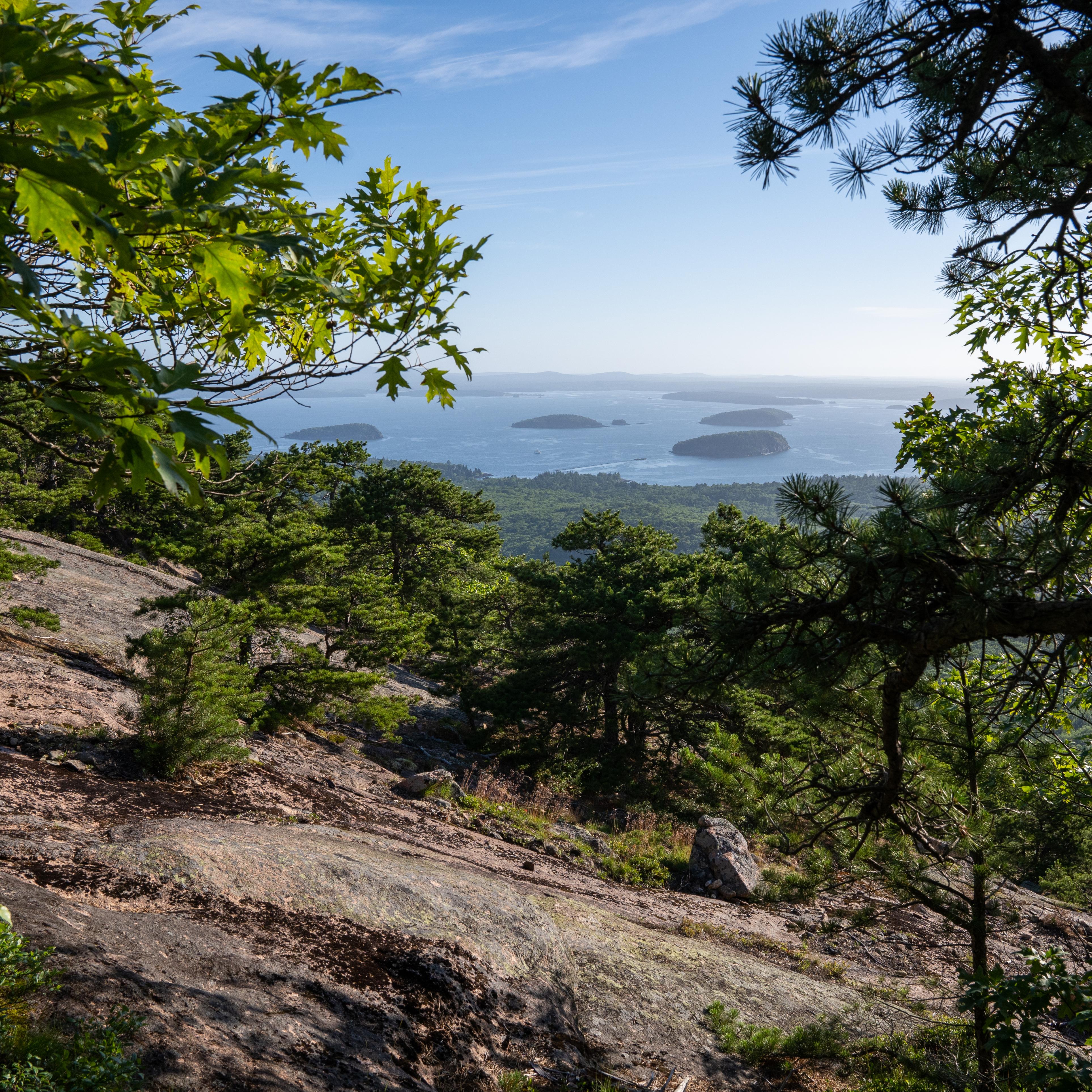 View of a bay, islands, and a forest below from a mountain ridge line