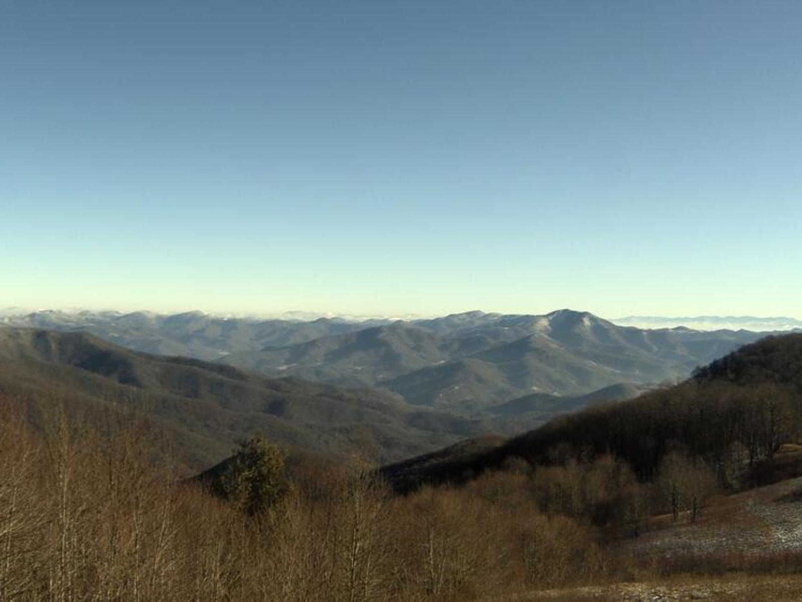 Purchase Knob Webcam