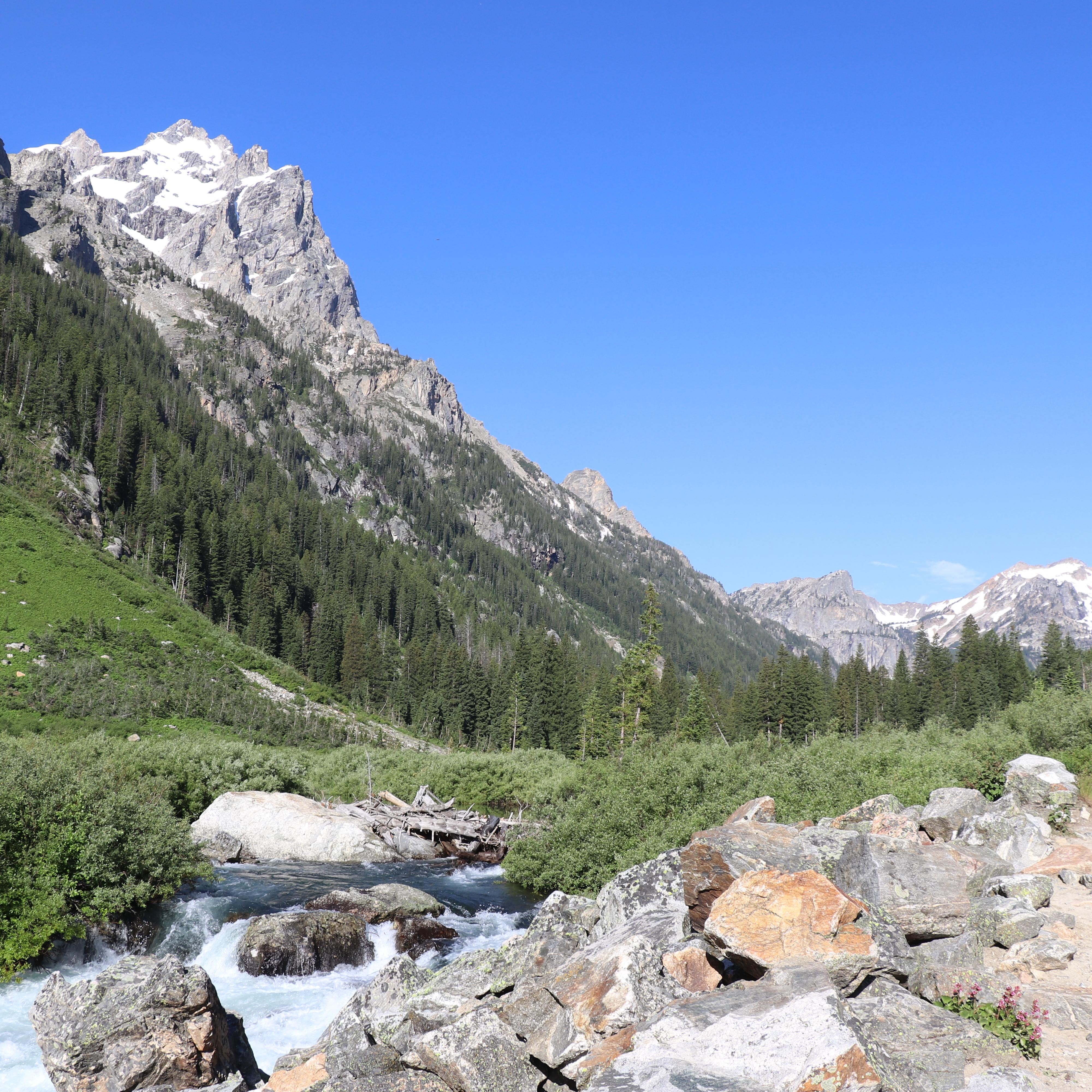 A creek runs along a rocky trail in the middle of a mountain canyon.