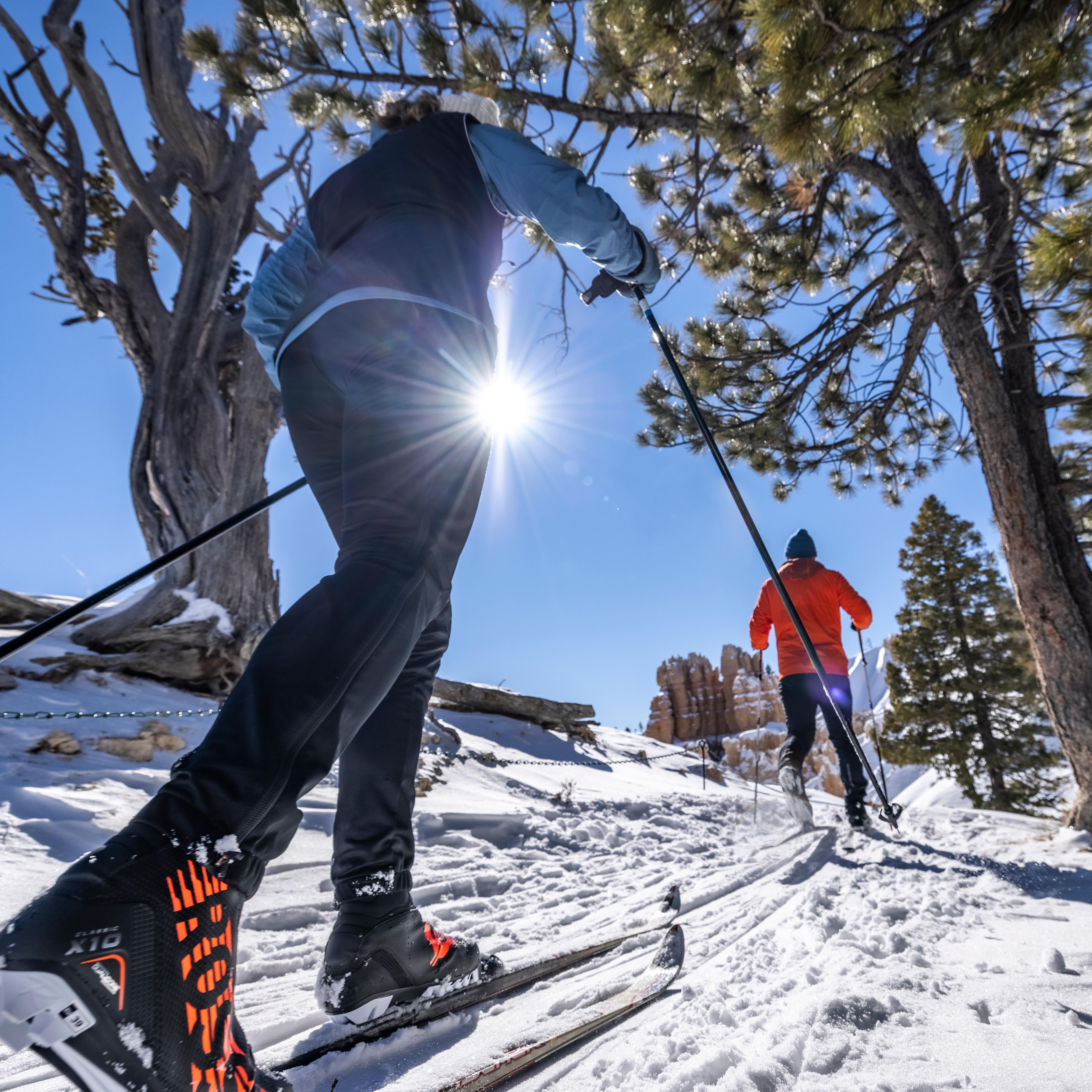 Two skiers ski amongst the trees.