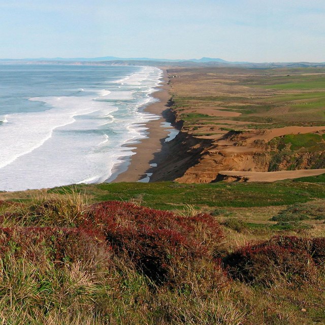 Pacific Ocean on the left, the Great Beach stretching up the center, and pasturelands on the right.