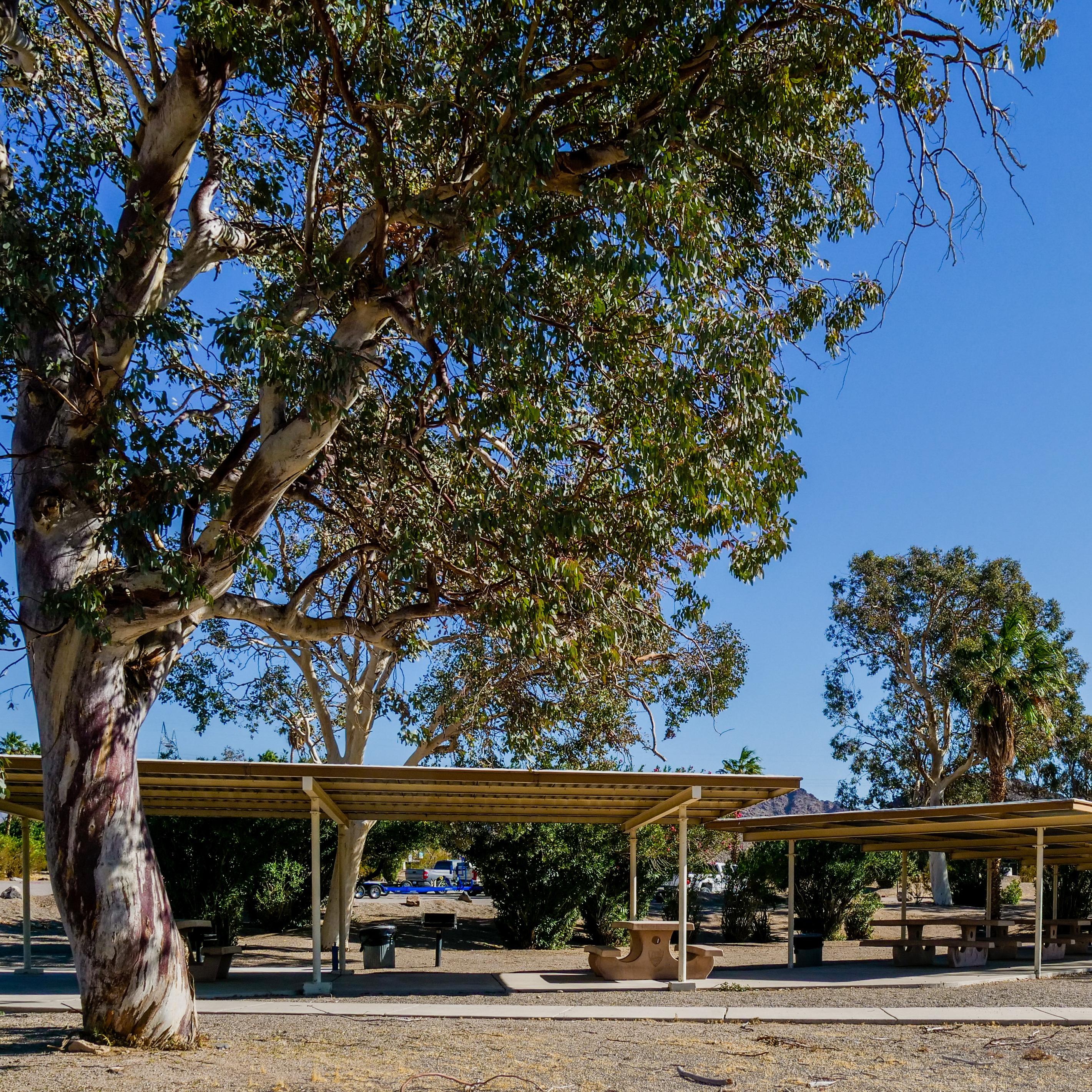 picnic shelter
