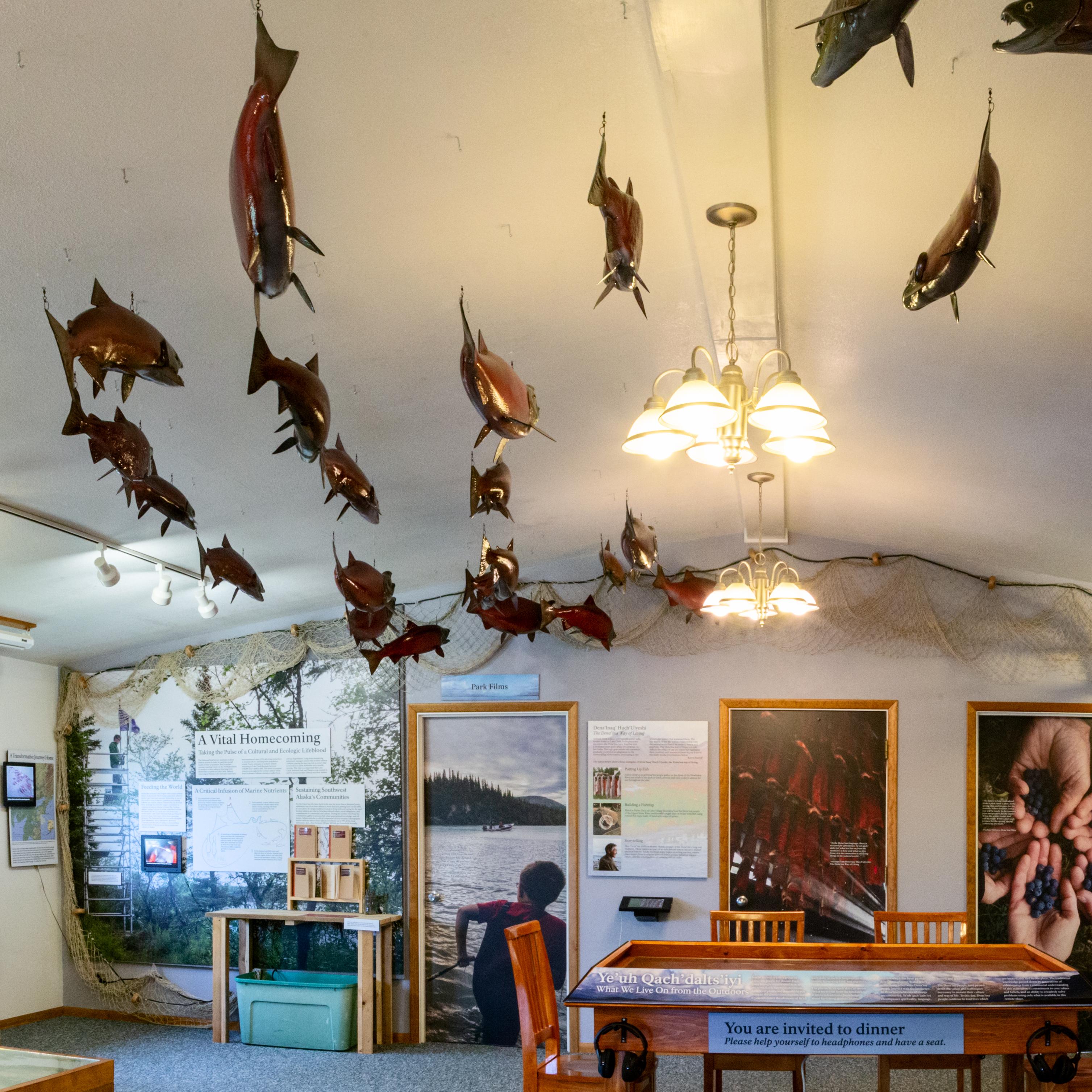 inside of the Port Alsworth Visitor Center showing various exhibits