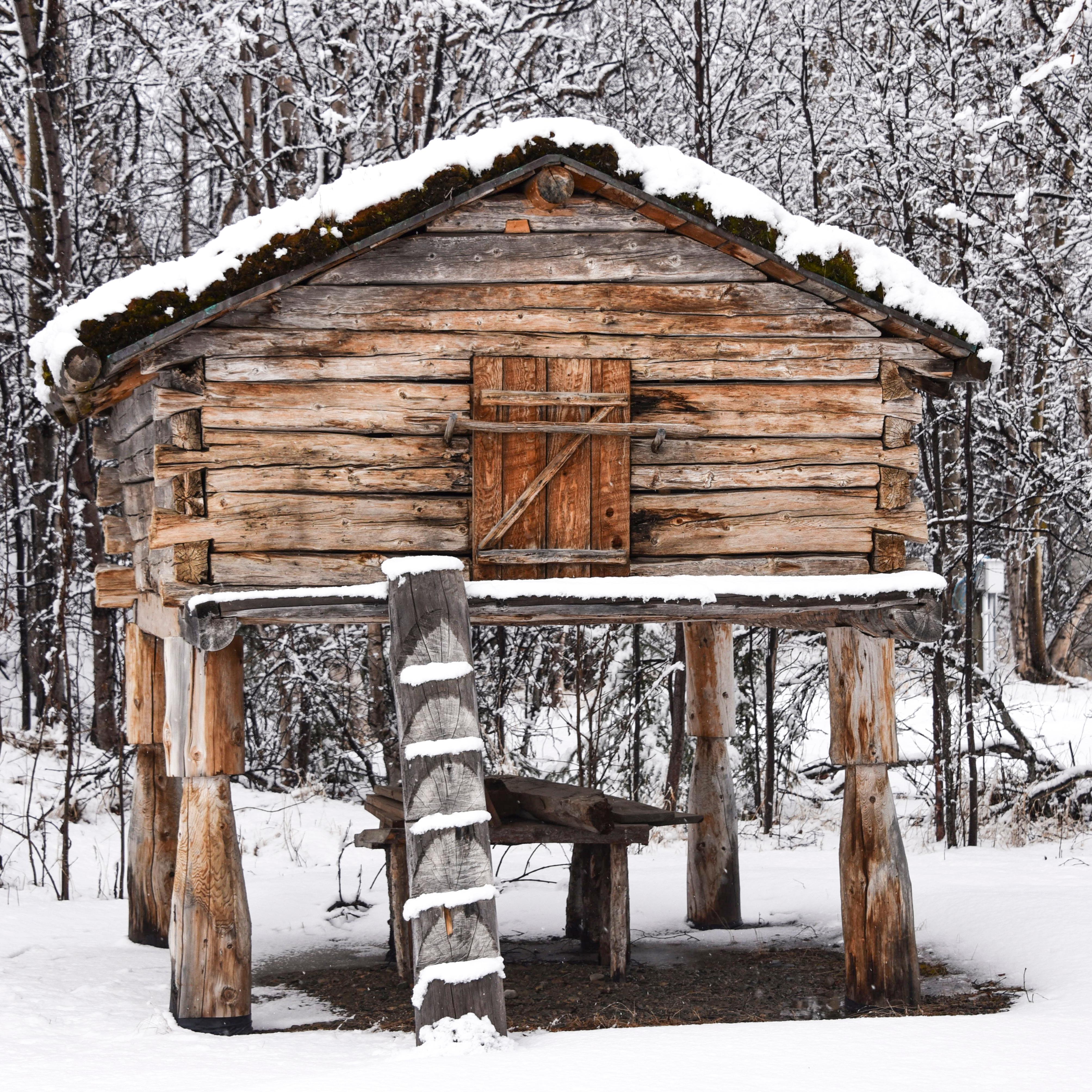 a wooden structure with a small door on stilts in winter