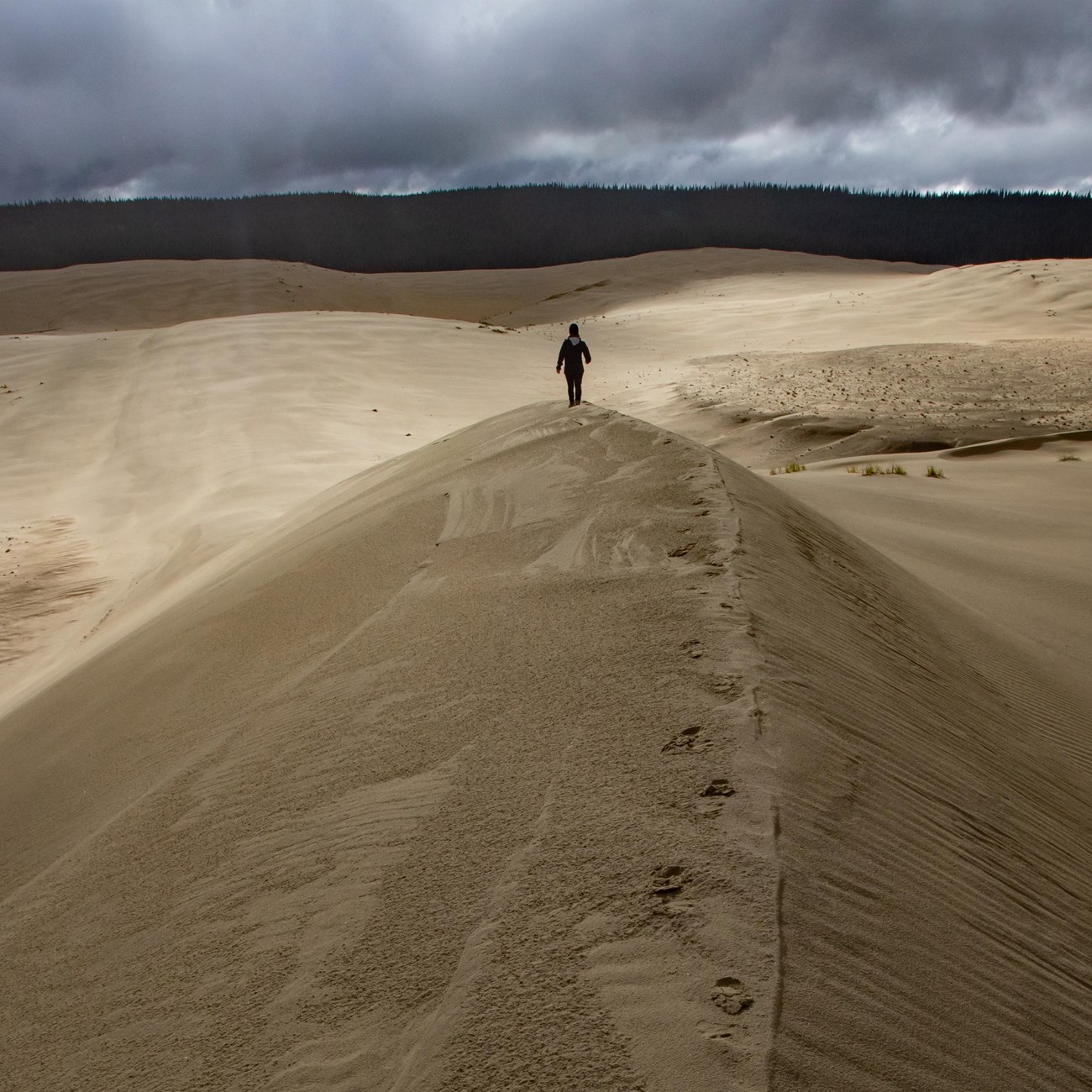 Hiker walking along a sand dune ridge.
