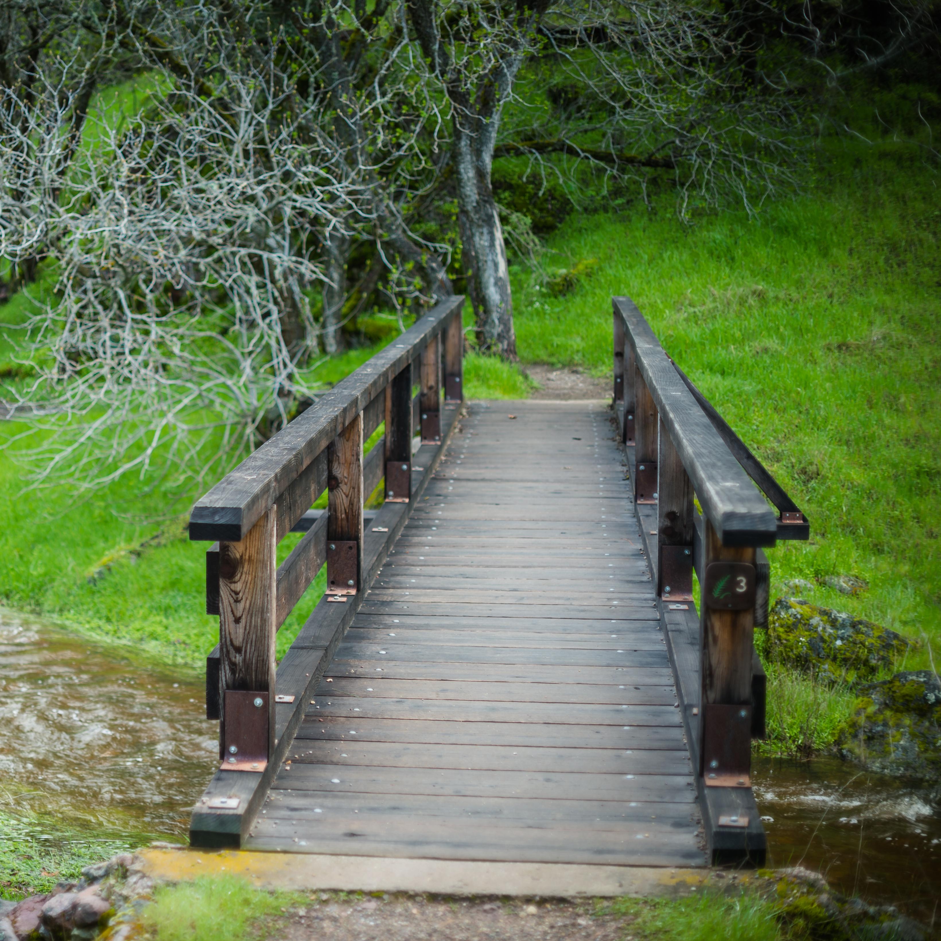 Wooden bridge crossing over a creek to a dirt trail winding around a green hillside