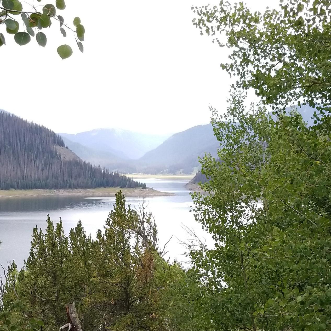 Mountain reservoir with trees in foreground