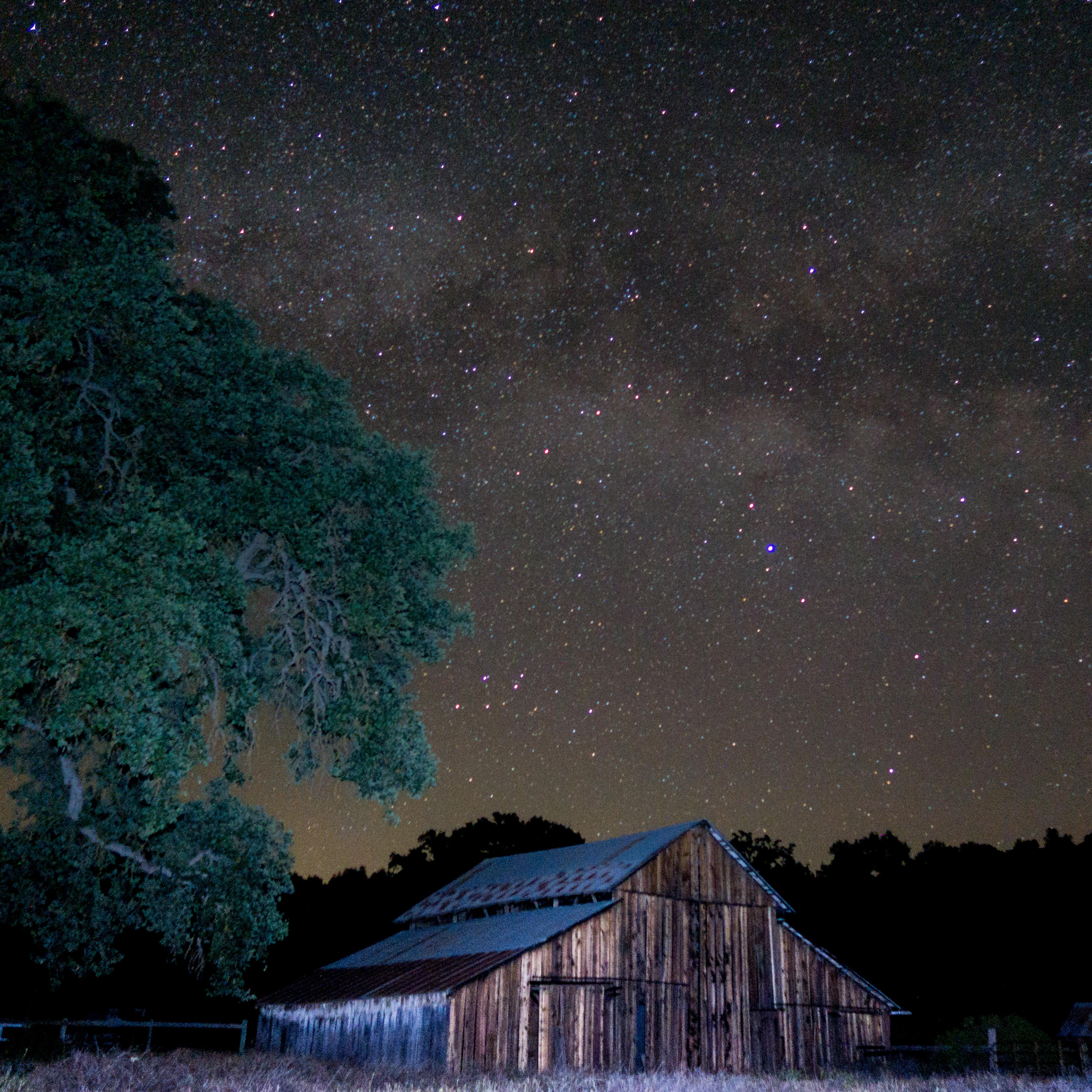 Large valley oak and rustic barn under a clear dark night sky