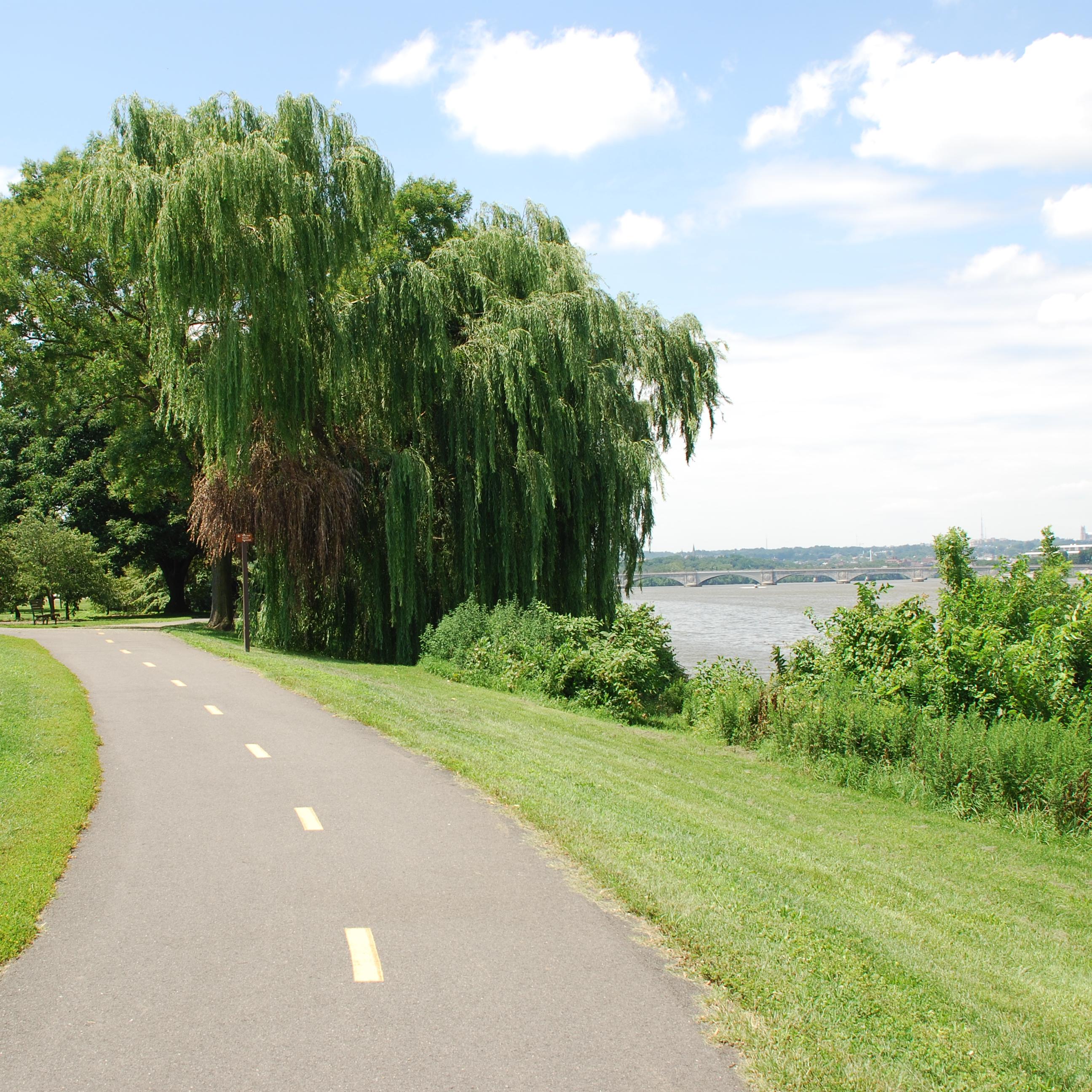 The Mount Vernon Trail