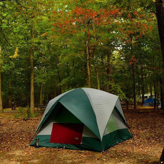 A tent and picnic table in a wooded campground