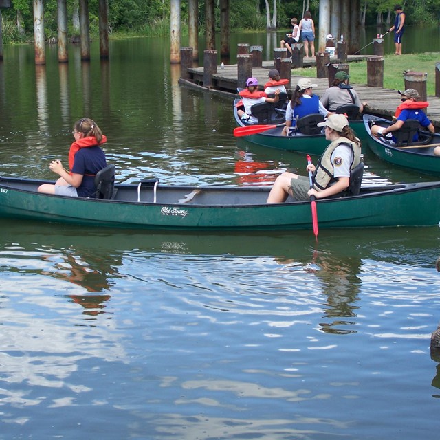 visitor relaxing on a swamp boardwalk