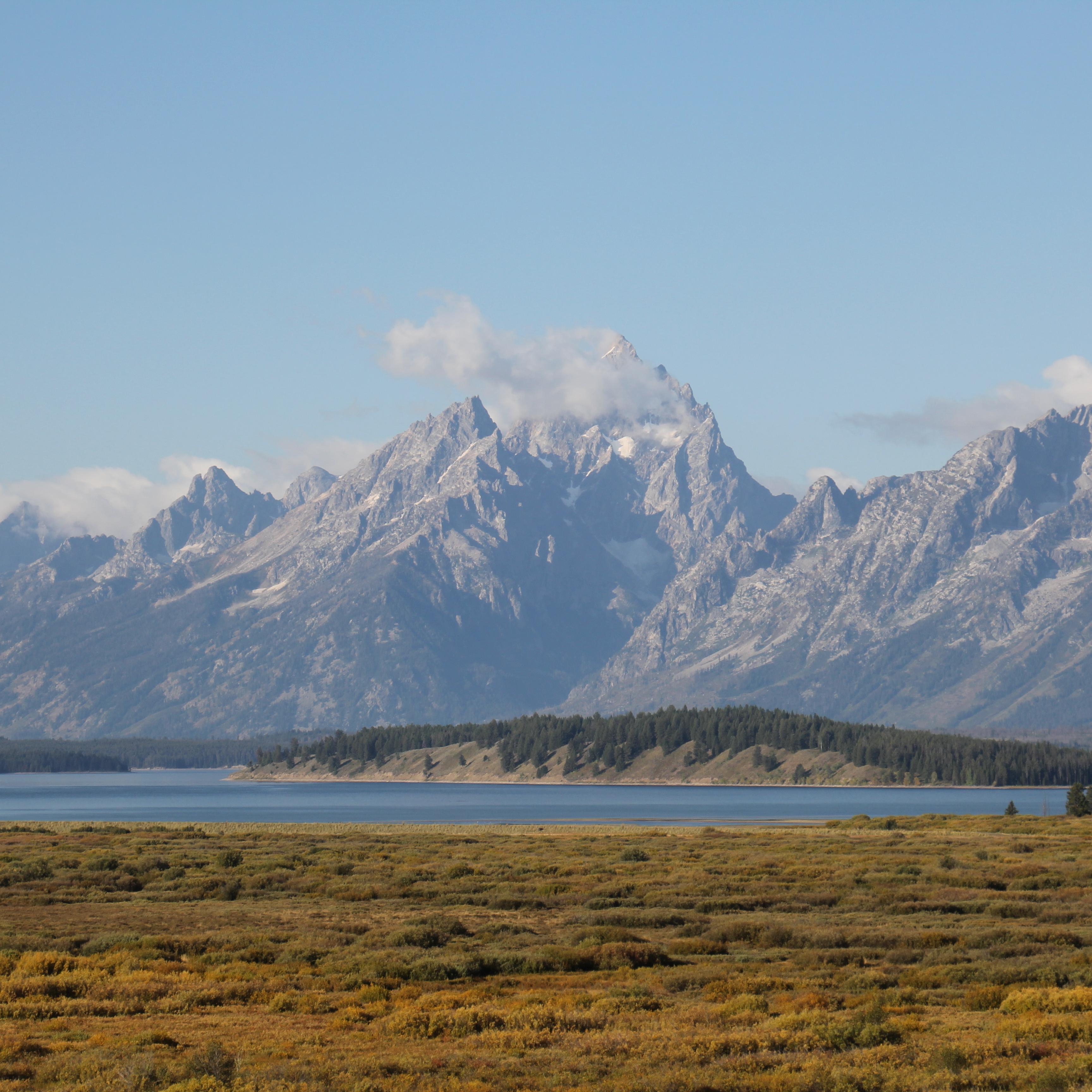 A mountain range above a flat meadow filled with vegetation.