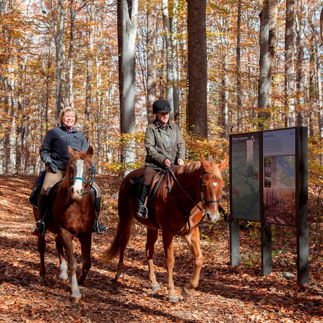 Equestrians ride through the fall foliage.