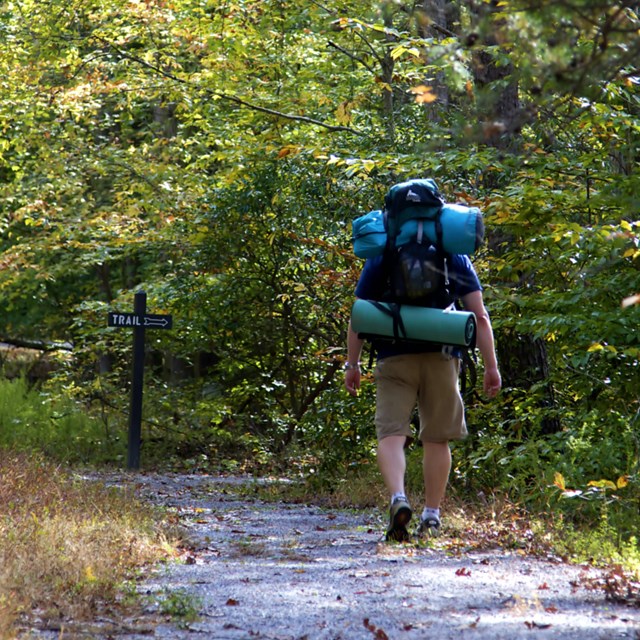 Backpacker walks on trail.