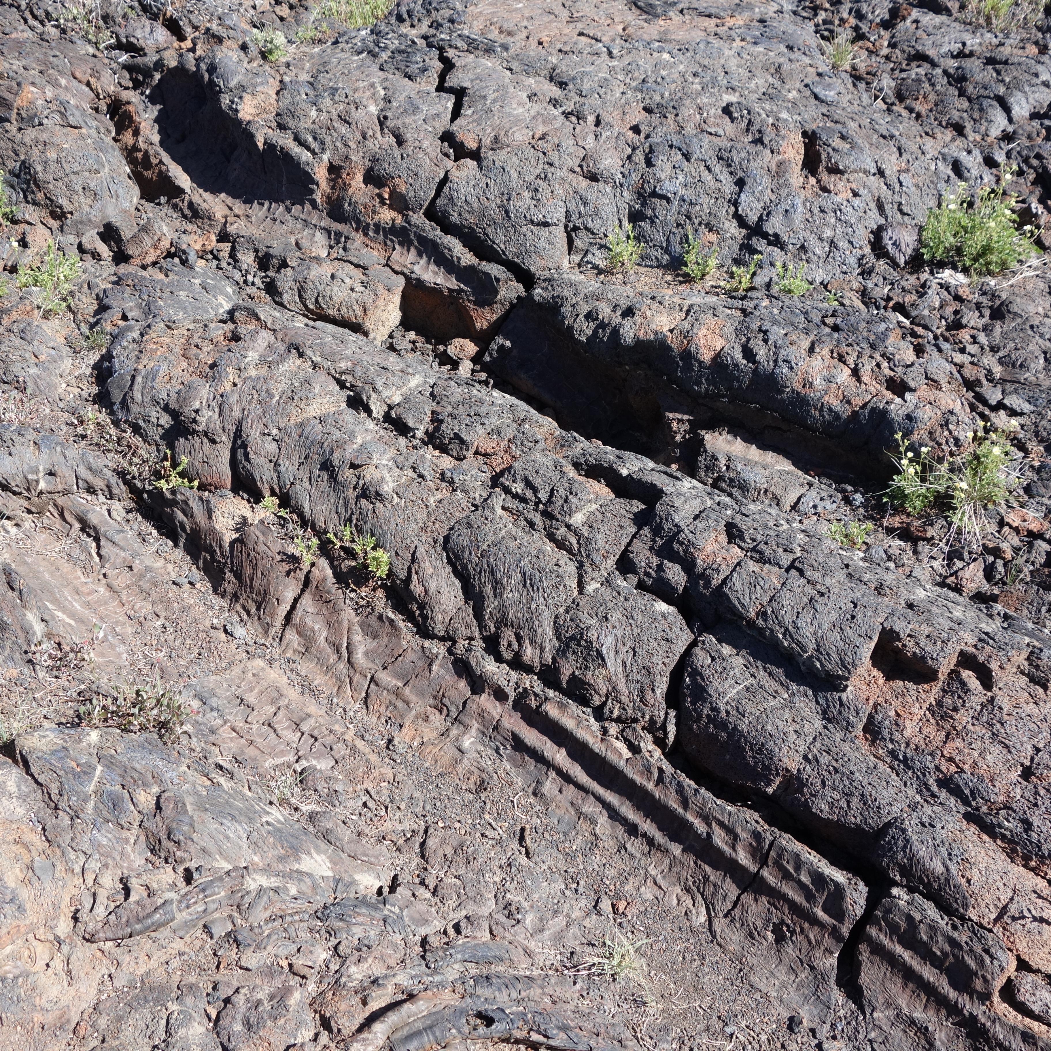 dark rock featuring the impression of two fallen tree trunks