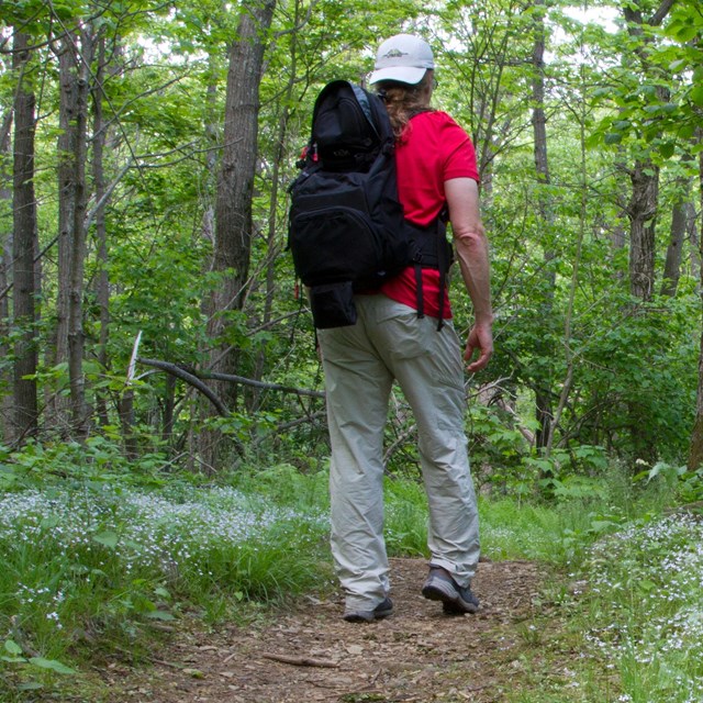 Man hiking on a trail through a grassy forest