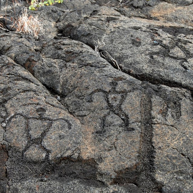 Figures of people etched into rock