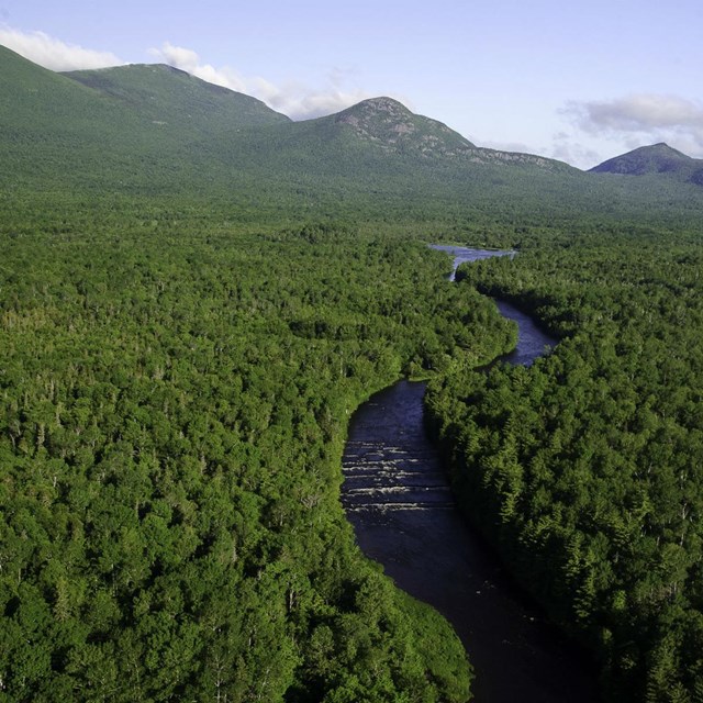 Aerial view of clear river running through evergreen forest toward mountains