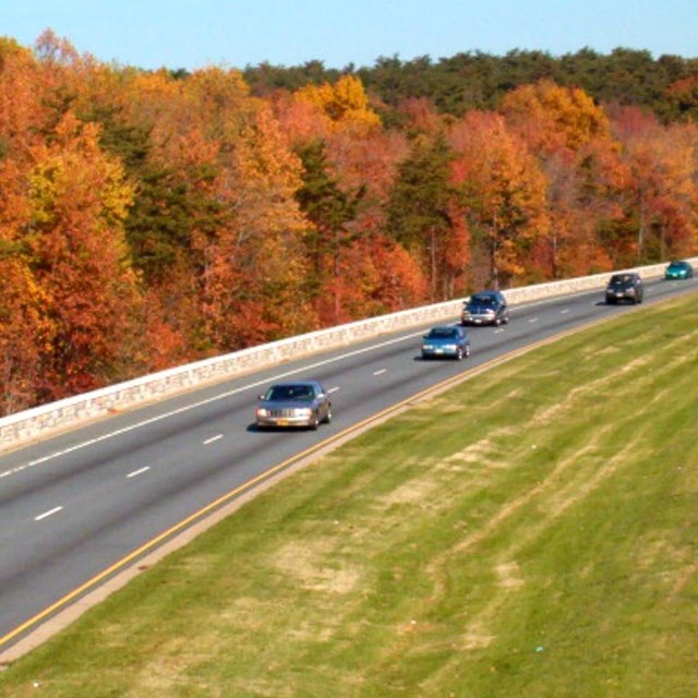 Fall colors on the Baltimore-Washington Parkway.