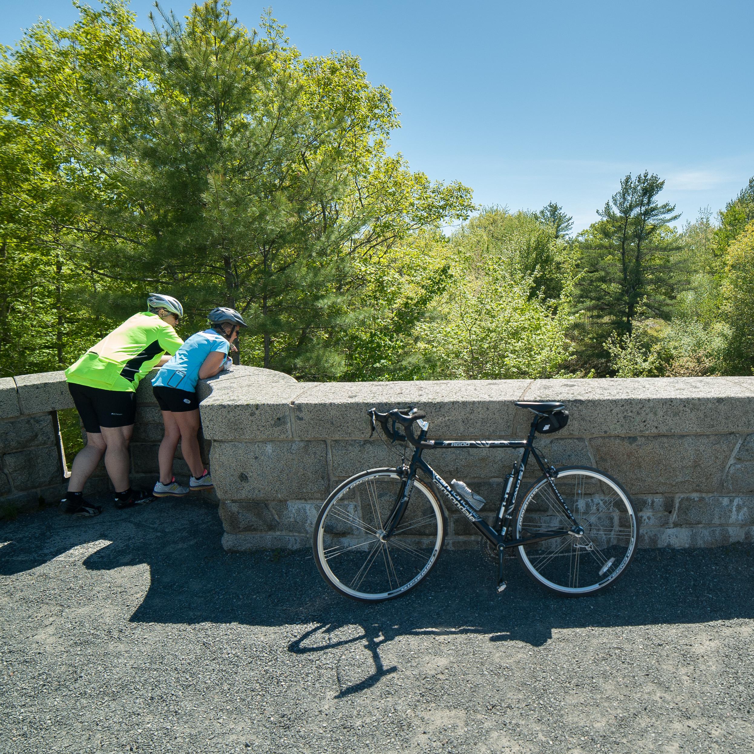 Two people with bicycles looking over a ledge on a bridge