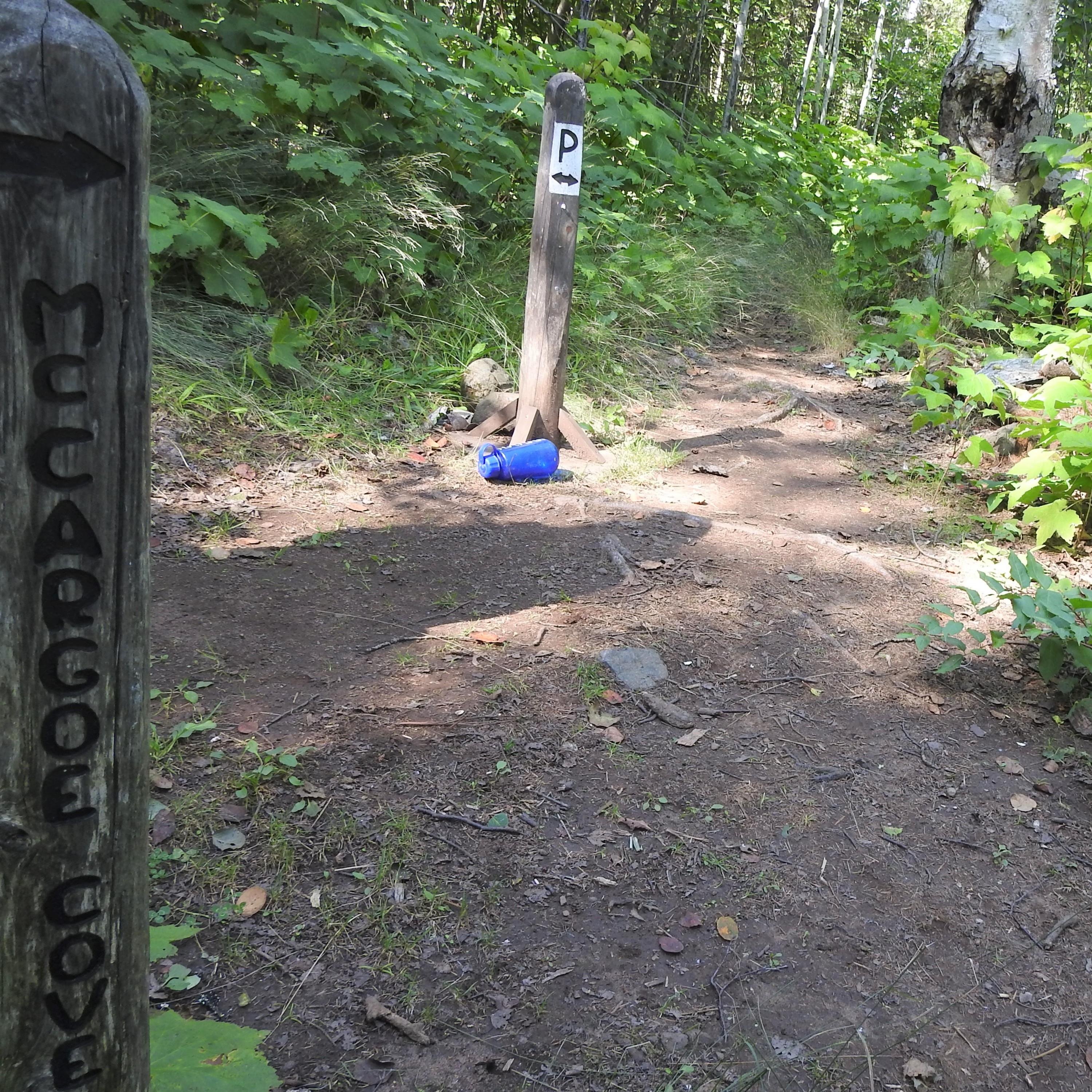 A McCargoe Cove 1.2 miles trail sign and a P for Portage trail sign in the trail surrounded by trees