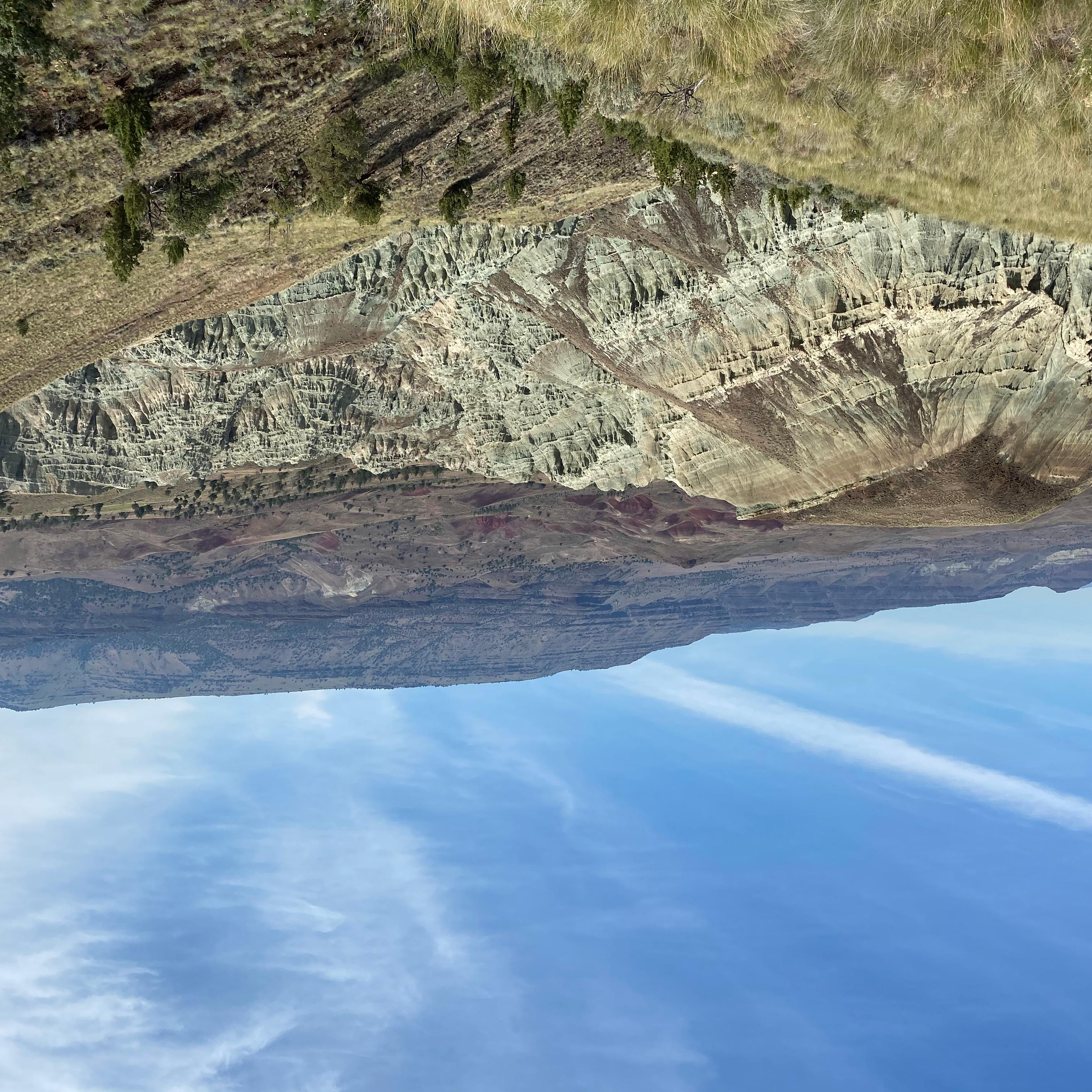 Blue-green claystone formations in a canyon below tan and green bunchgrass covered hills.