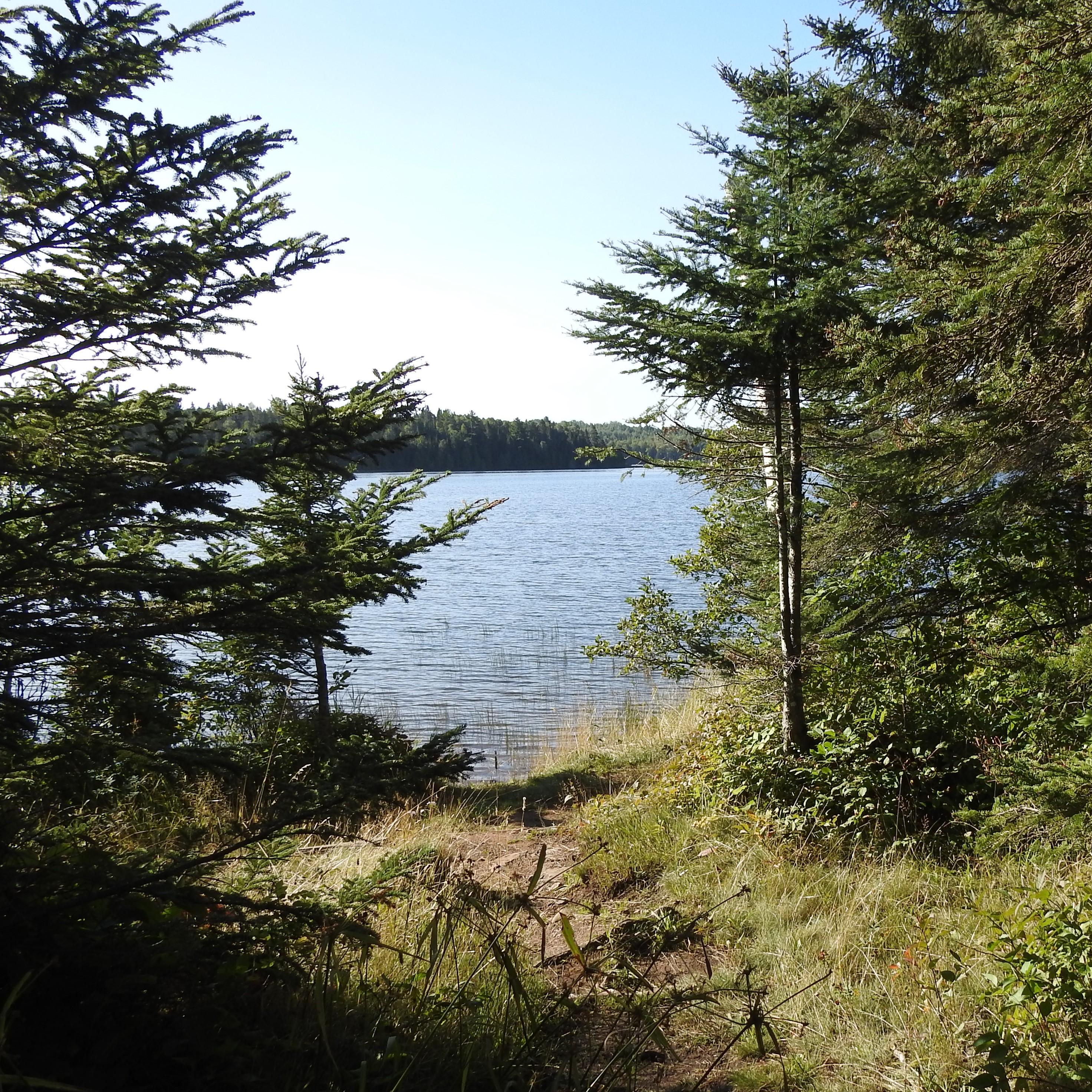 A view of a lake and shoreline framed by trees. 