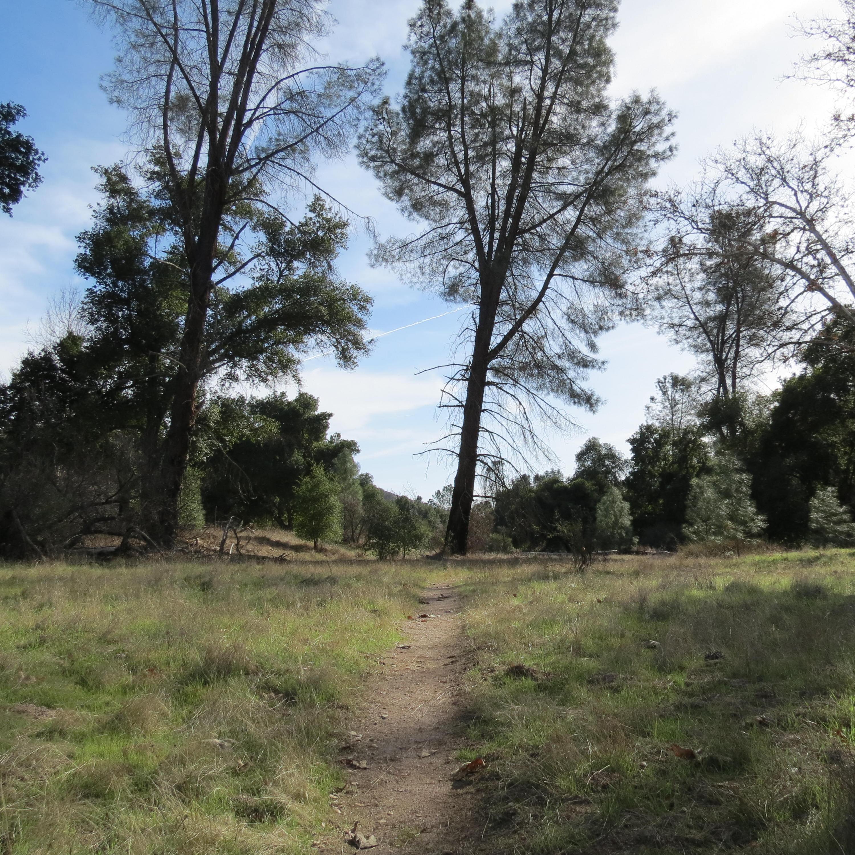 Narrow dirt trail in open grassland leading into oak woodlands 