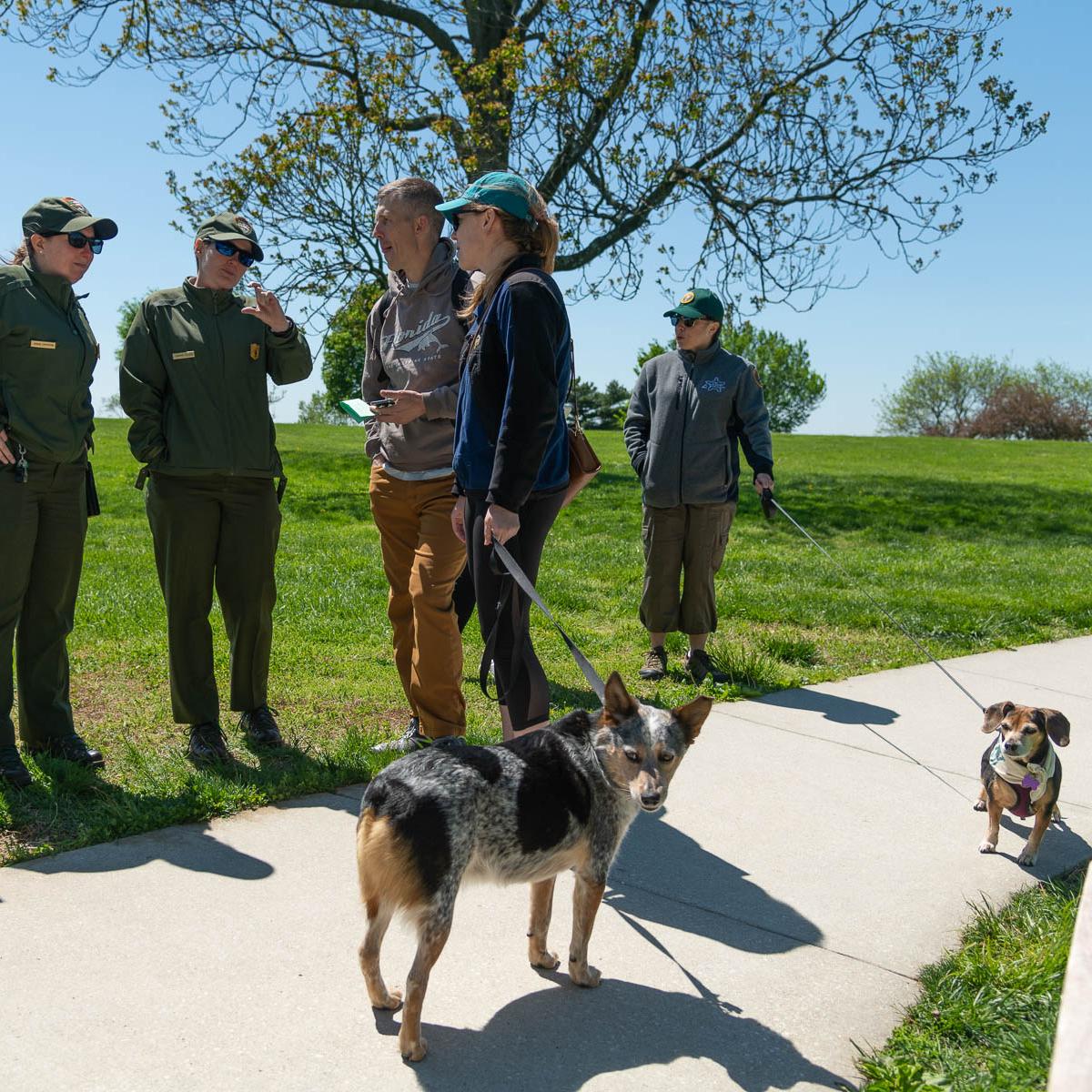Rangers talking to visitors who have dogs on leashes.
