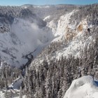 Snow covers the orange-tinted sides of the canyon and the Lower Falls are shrouded in ice.