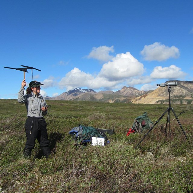 Park staff gathering data in mountain landscape