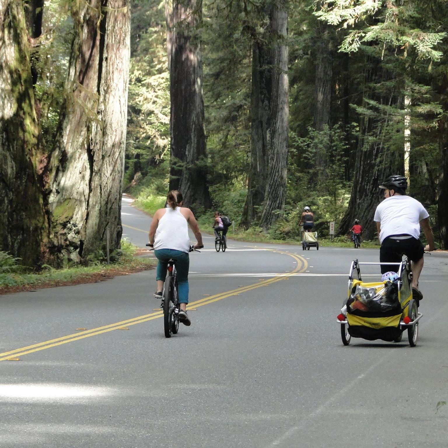 Made Sure You See This Parkway