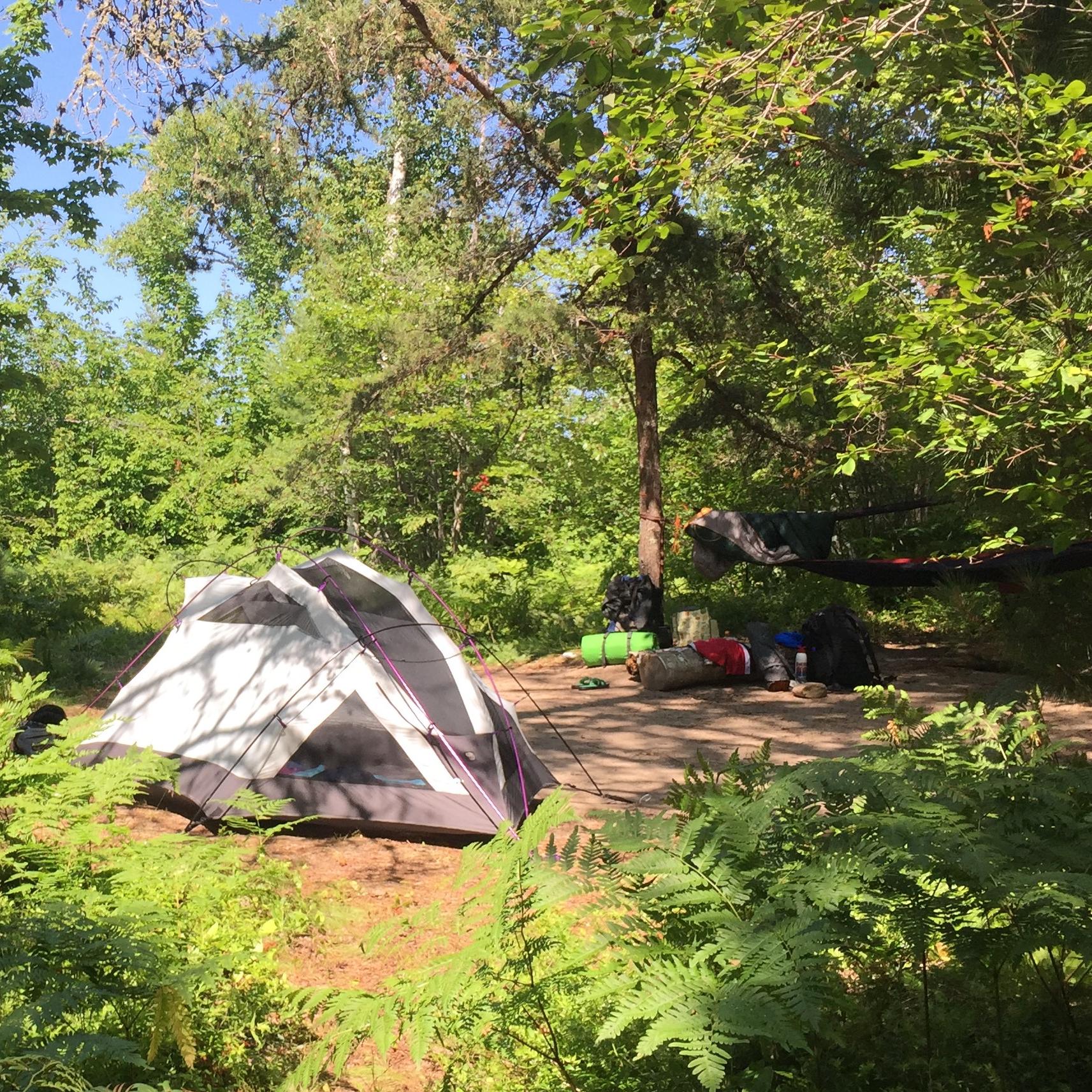 Small tent set up a wooded backcountry campsite