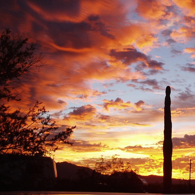 sun setting behind a tall, solitary cactus