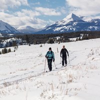 Two skiers travel across a flat meadow with mountains in the distance.