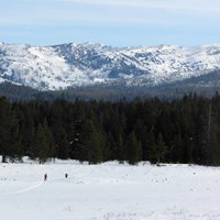 Two skiers are dwarfed by the landscape of forests and moutains in the distance.
