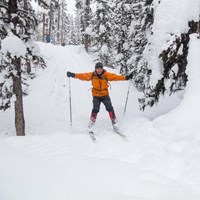 A person excitedly cross-country skis down a steep hill in the forest.