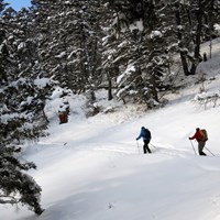 Two skiers follow a trail that cuts across a gentle slope through a forest.
