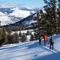 Three skiers make their way on the Lost Lake Ski Trail with mountain views ahead of them.