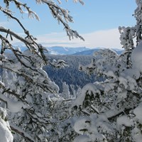 Glimpses of mountain views can be seen through the trees along the Divide Ski Trail.