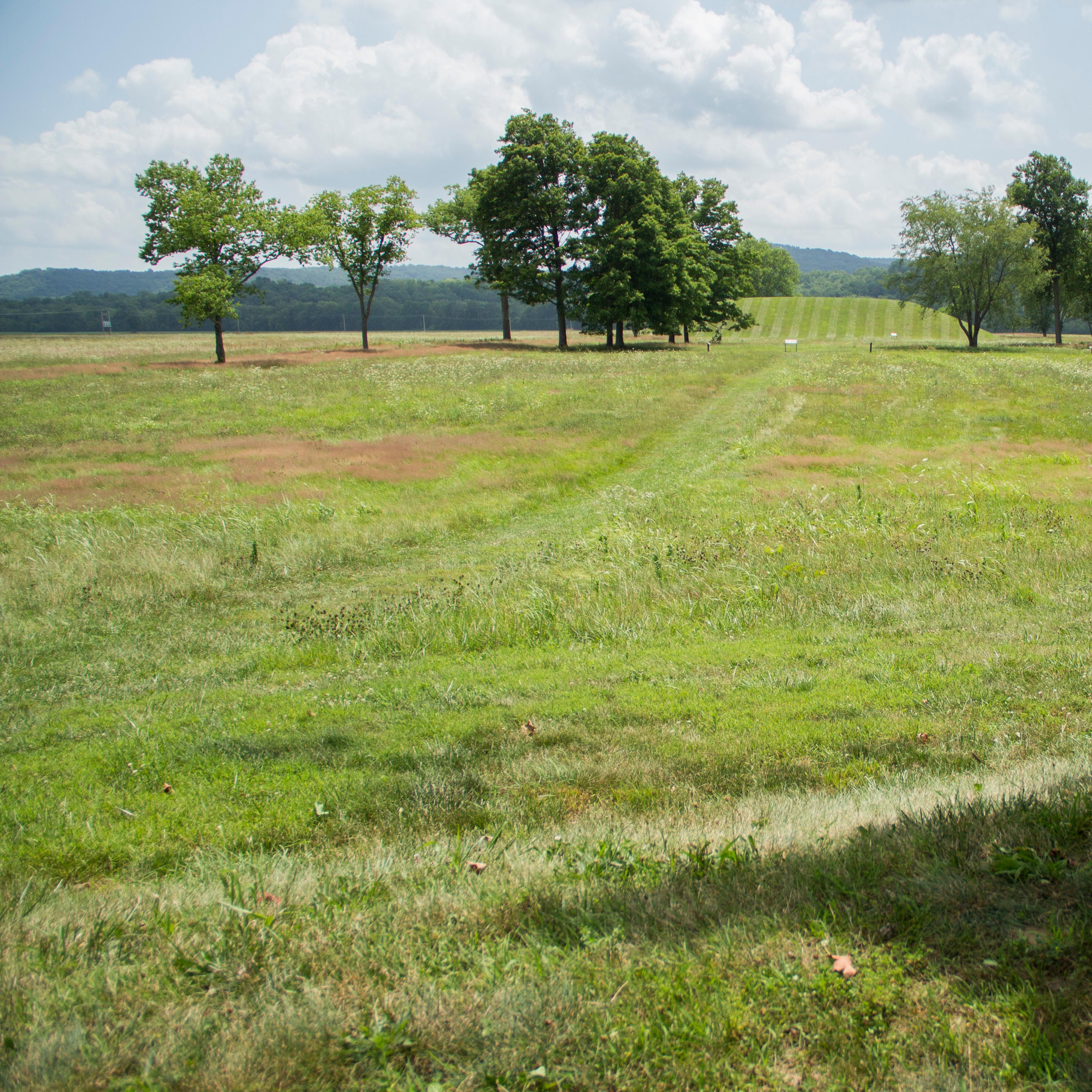 Grass-cut trails leading to a large, manicured tall earthen mound.