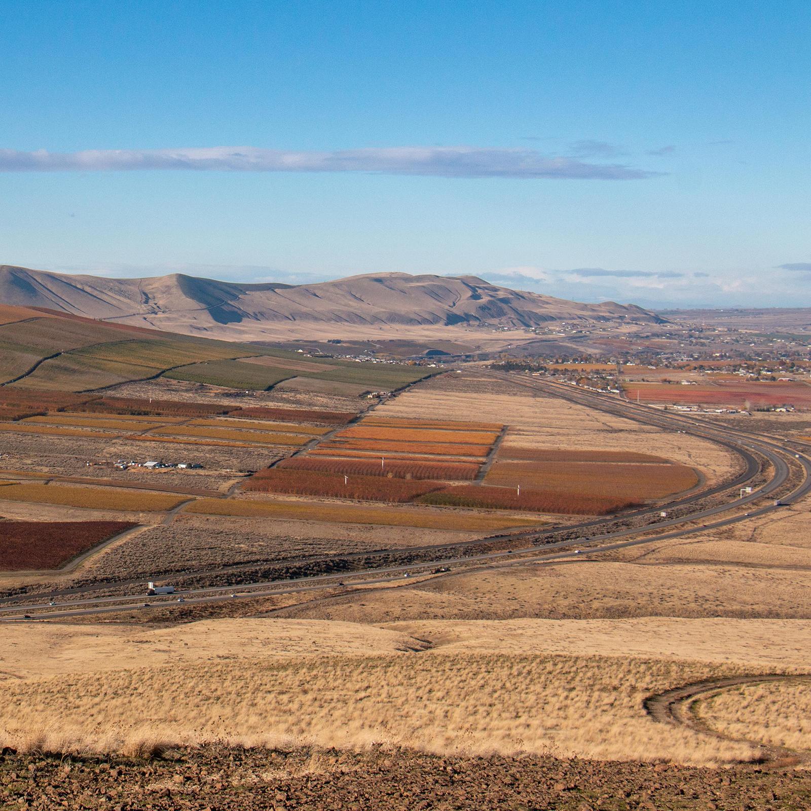 Color photograph of an expansive landscape with a patchwork of agricultural fields.  