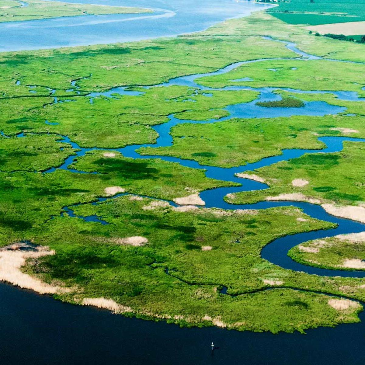 Aerial view of the Nanticoke River delta