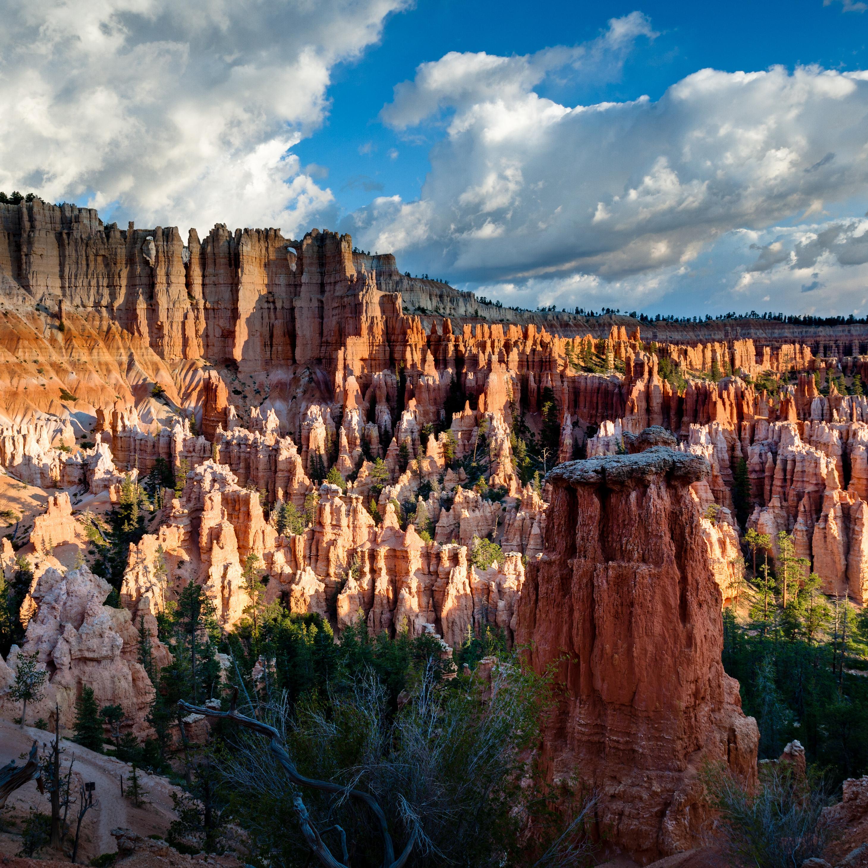 An overhead view of red rock formations with a blue sky in the background