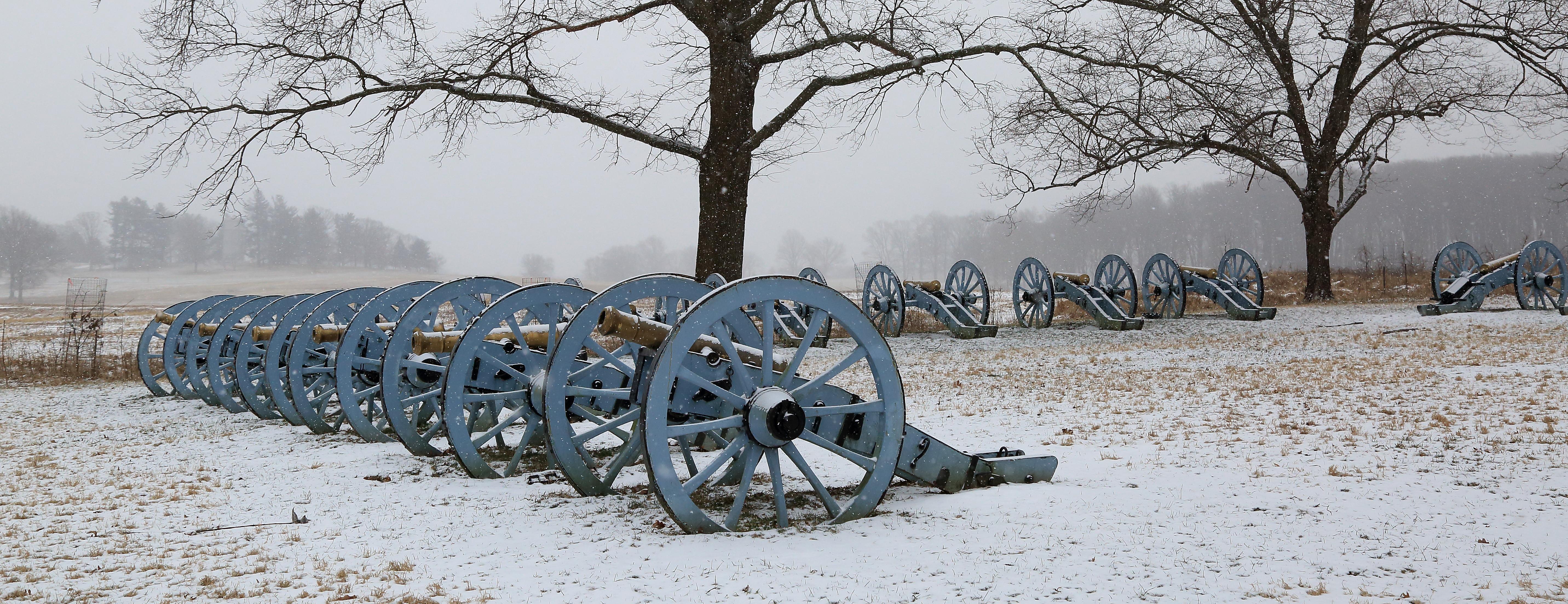 reproduction cannons in the snow