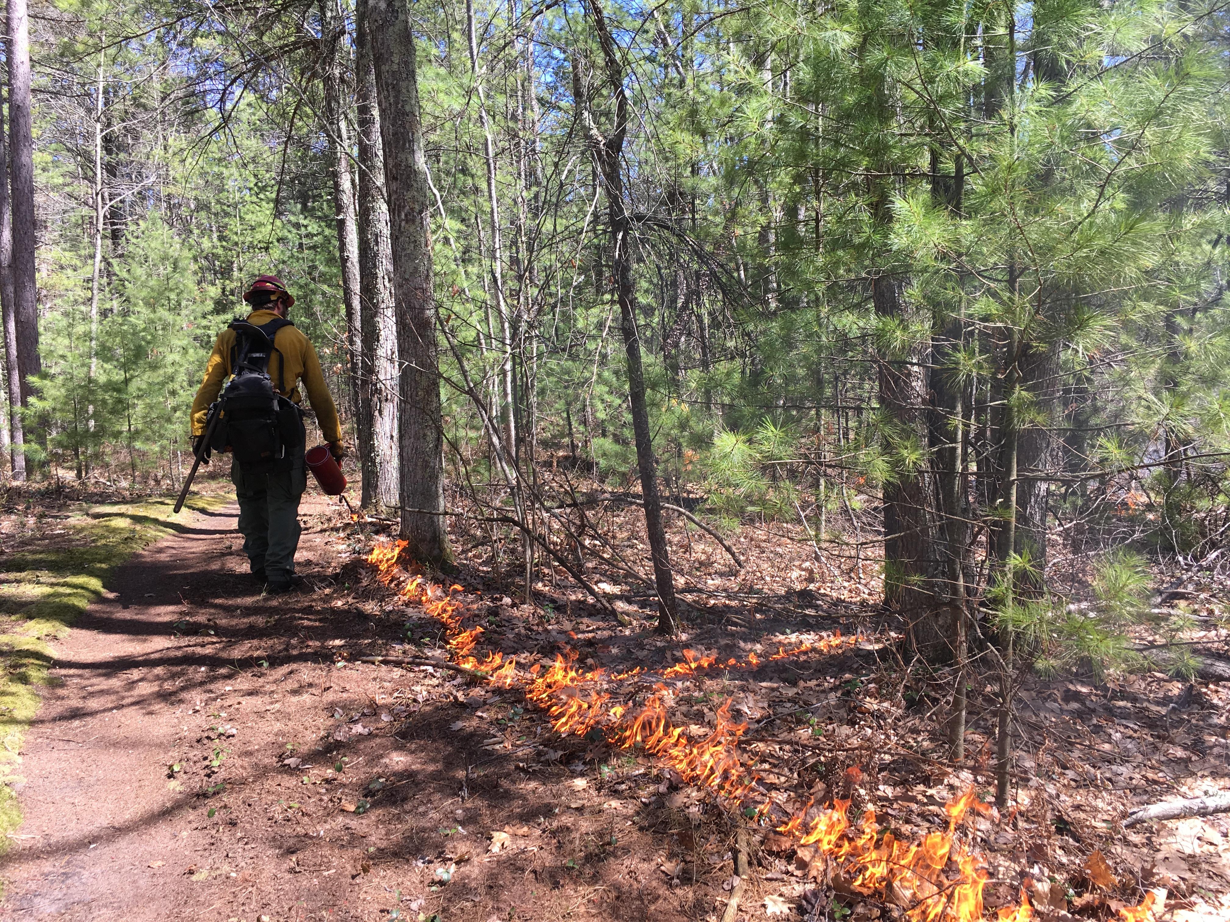 Living With Fire: DH Day Campground Twilight Talk
