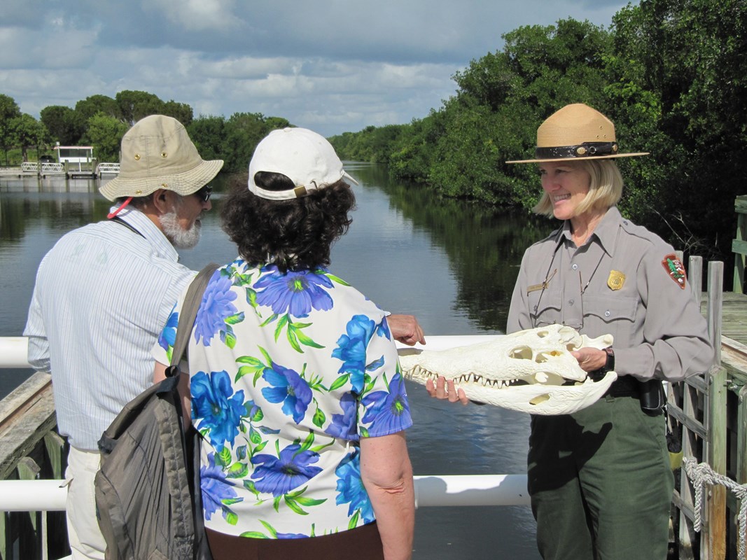 Ranger holding a crocodile skull with 2 visitors