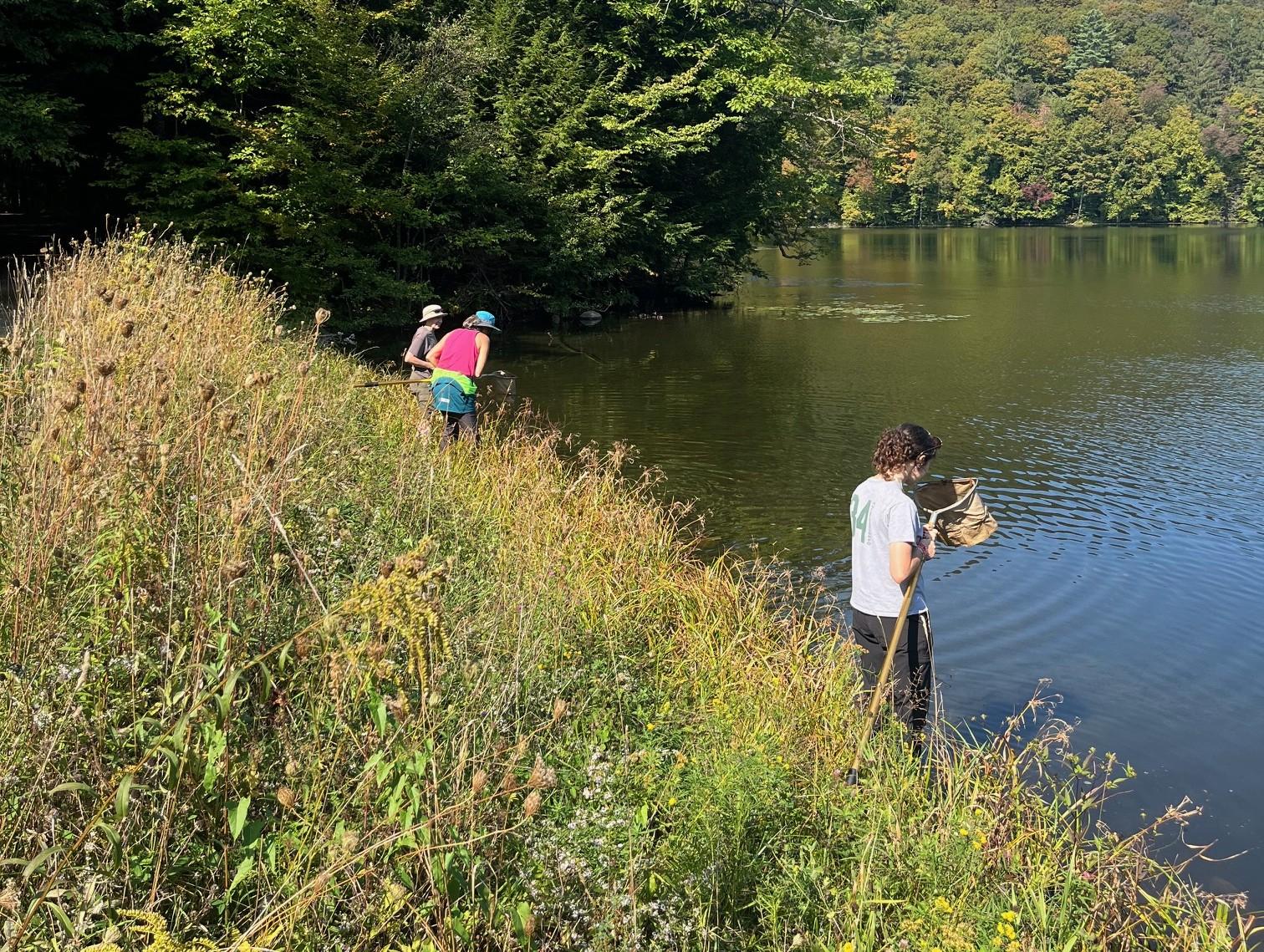 volunteers gathering specimen by pond