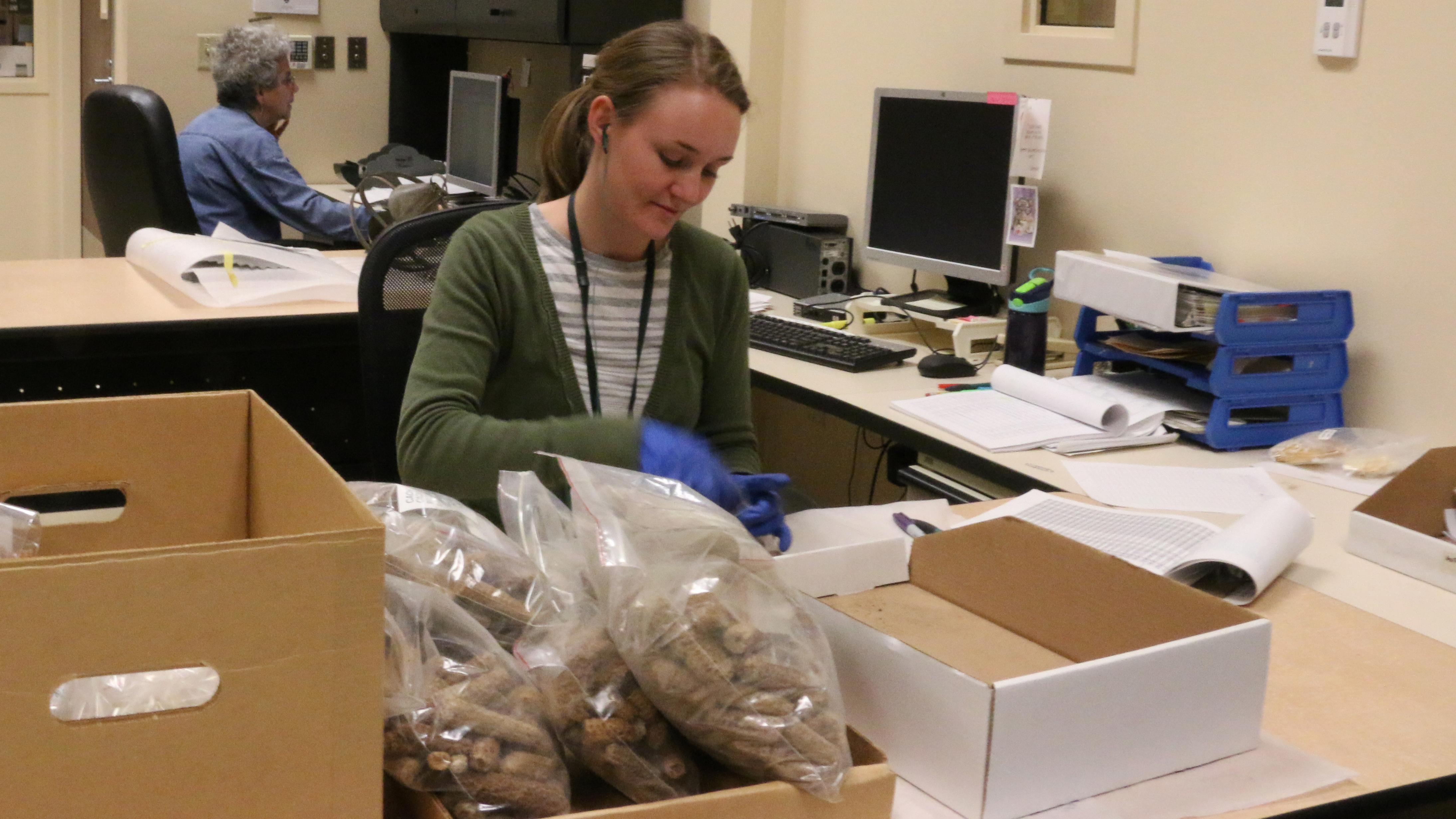 A woman wearing blue gloves sits at a desk with boxes and bags in front of her.